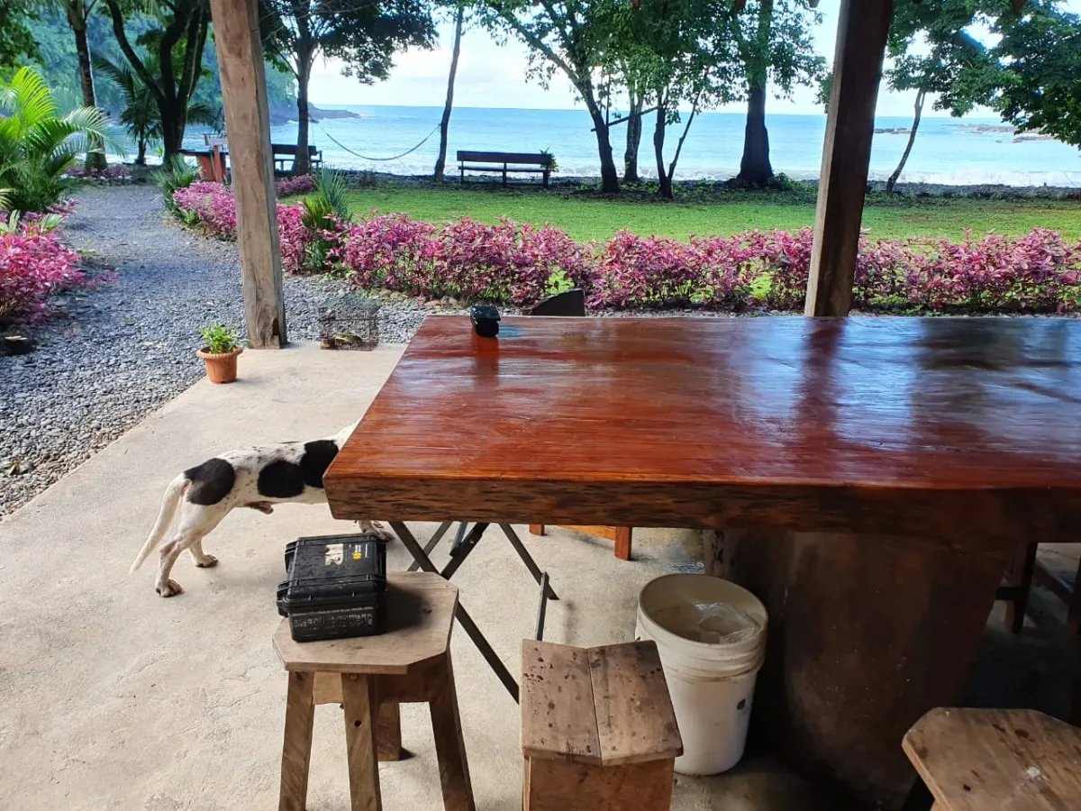 Panama Forest & Beach Properties for sale; Mata Palo, Cerro Hoya. Veraguas.