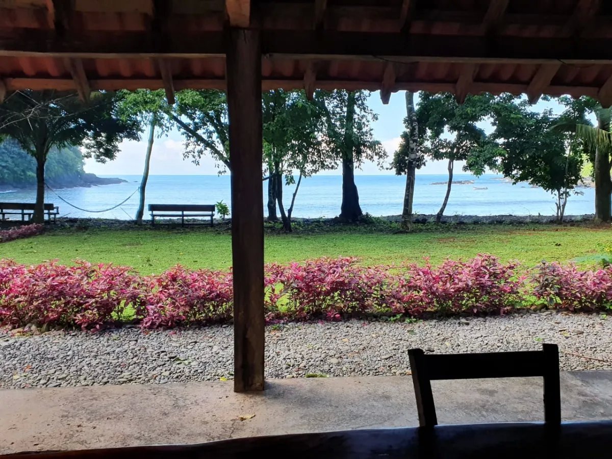 Panama Forest & Beach Properties for sale; Mata Palo, Cerro Hoya. Veraguas.