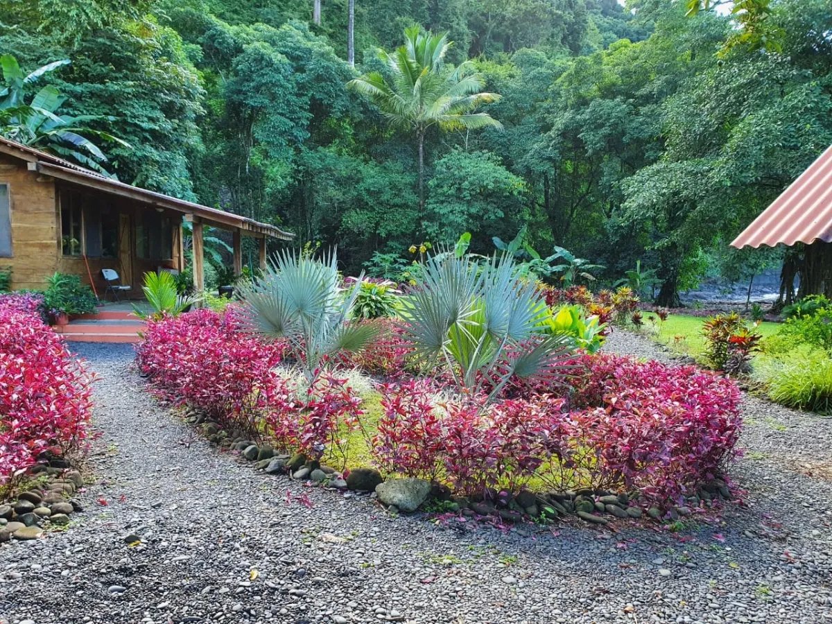 Panama Forest & Beach Properties for sale; Mata Palo, Cerro Hoya. Veraguas.