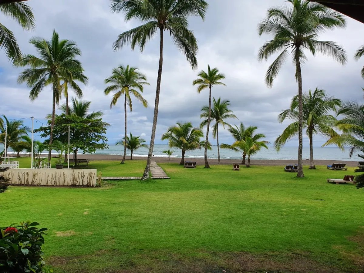 Panama Forest & Beach Properties for sale; Mata Palo, Cerro Hoya. Veraguas.