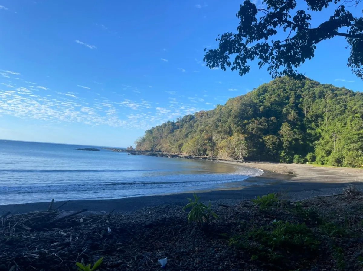 Panama Forest & Beach Properties for sale; Mata Palo, Cerro Hoya. Veraguas.