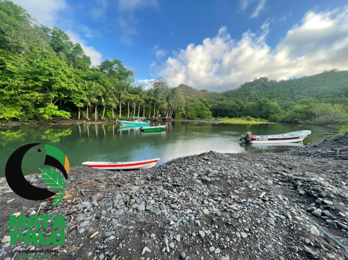 Propiedades de Bosque y Playa en Panamá para la venta; Mata Palo, Cerro Hoya. Veraguas.