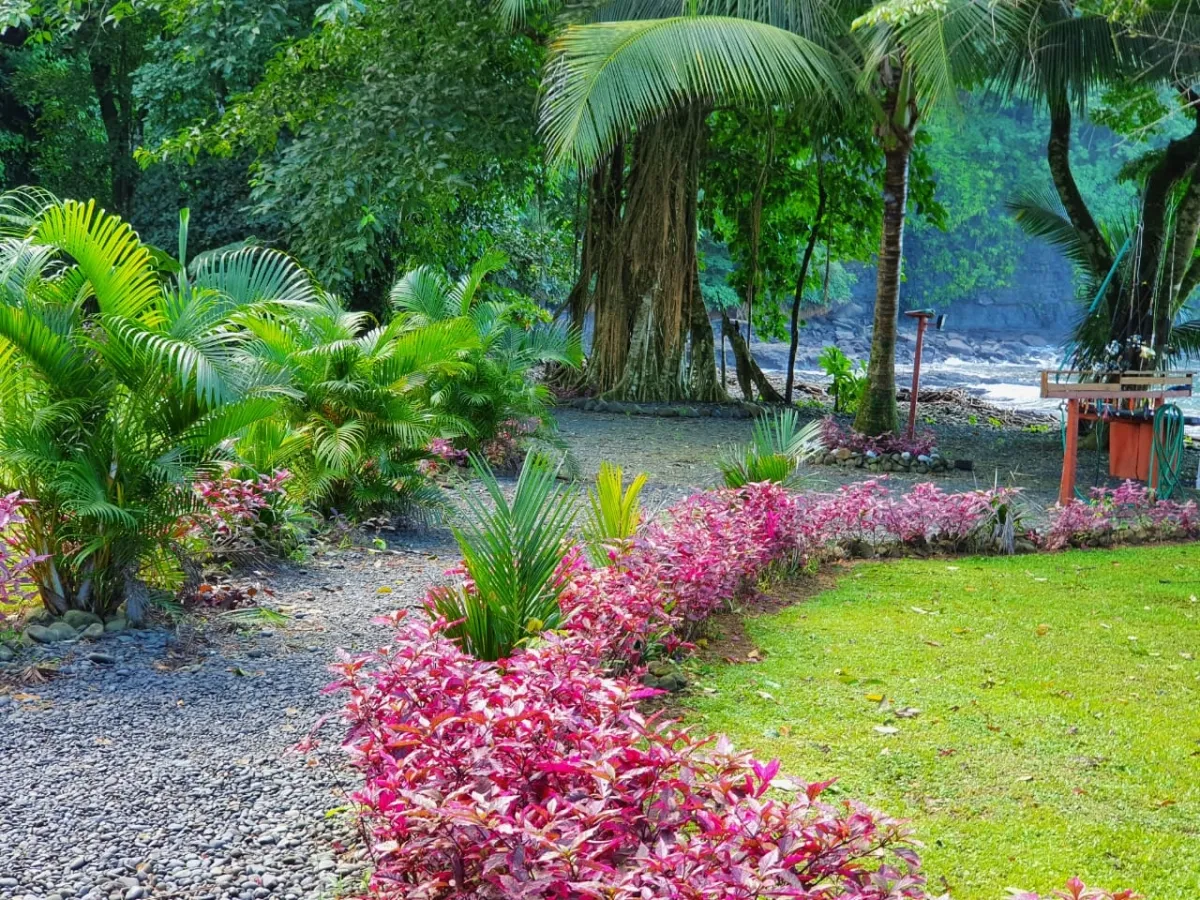 Propiedades de Bosque y Playa en Panamá para la venta; Mata Palo, Cerro Hoya. Veraguas.