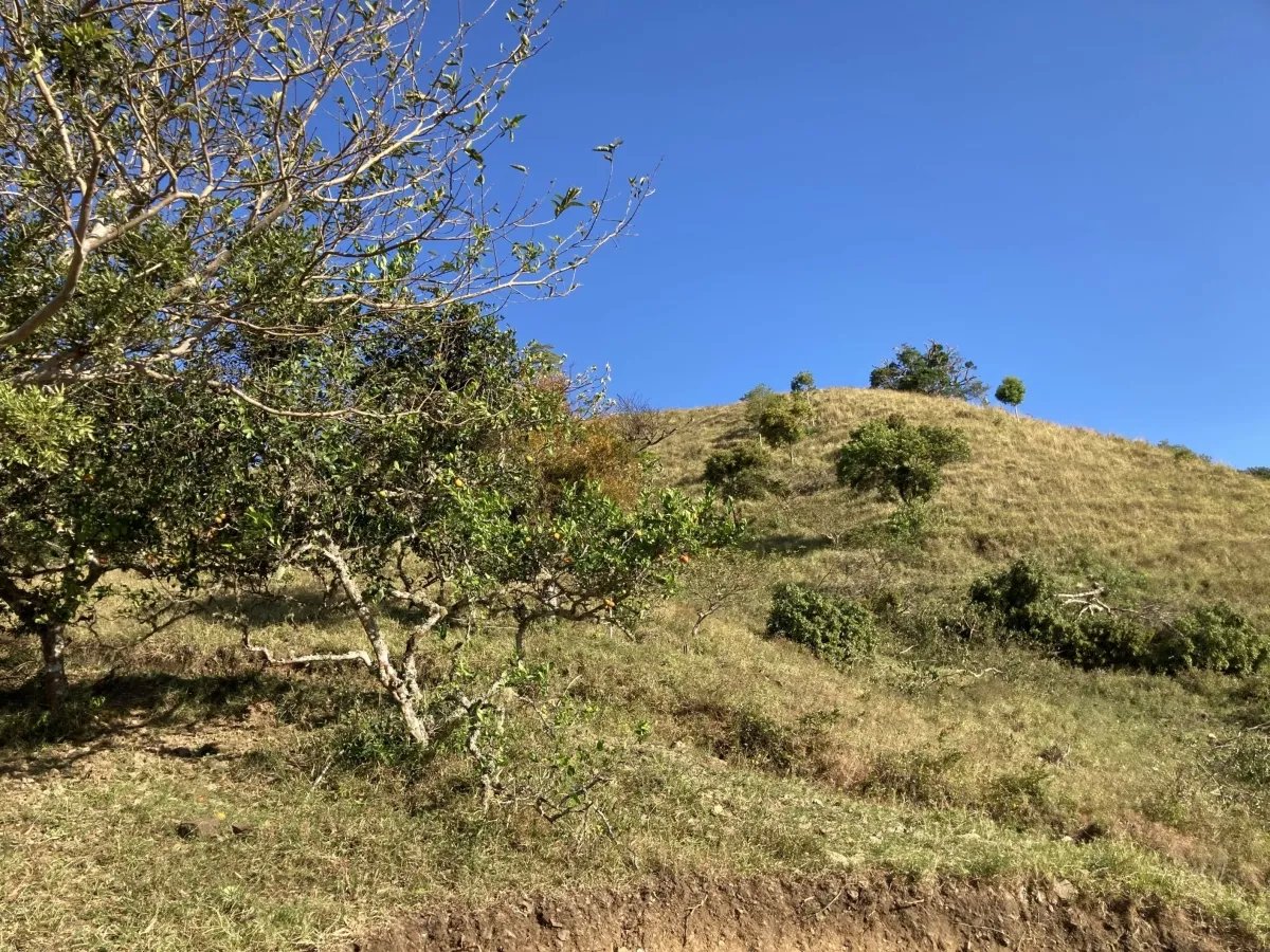 Cattle ranch or private hideaway with amazing views