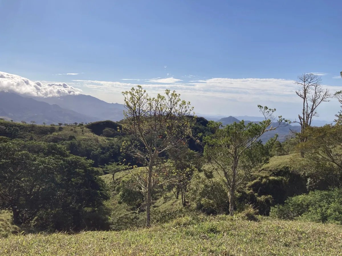Cattle ranch or private hideaway with amazing views
