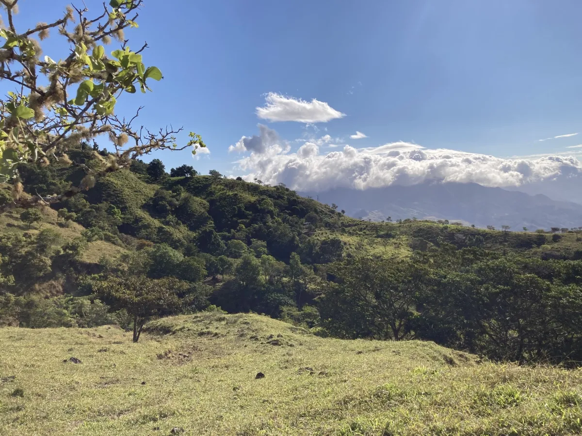 Finca ganadera o escondite privado con impresionantes vistas