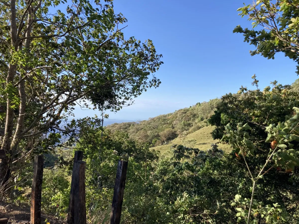 Finca ganadera o escondite privado con impresionantes vistas