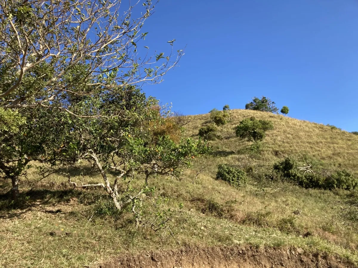 Finca ganadera o escondite privado con impresionantes vistas