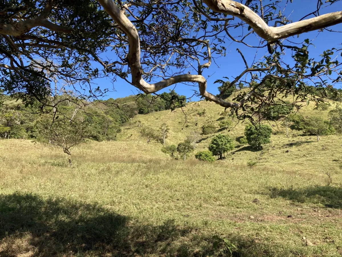 Finca ganadera o escondite privado con impresionantes vistas