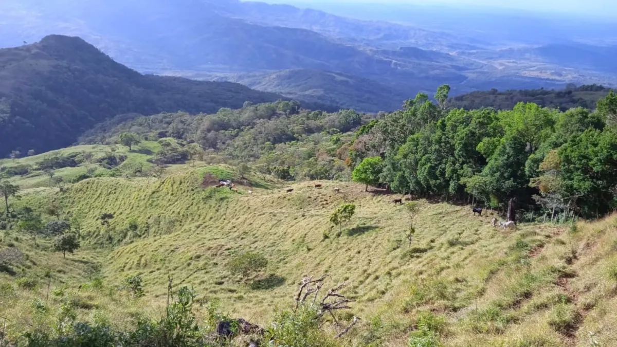 Finca ganadera o escondite privado con impresionantes vistas