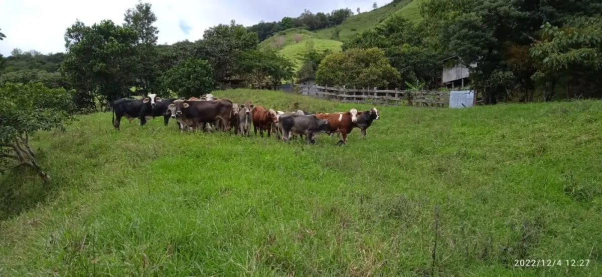 Finca ganadera o escondite privado con impresionantes vistas