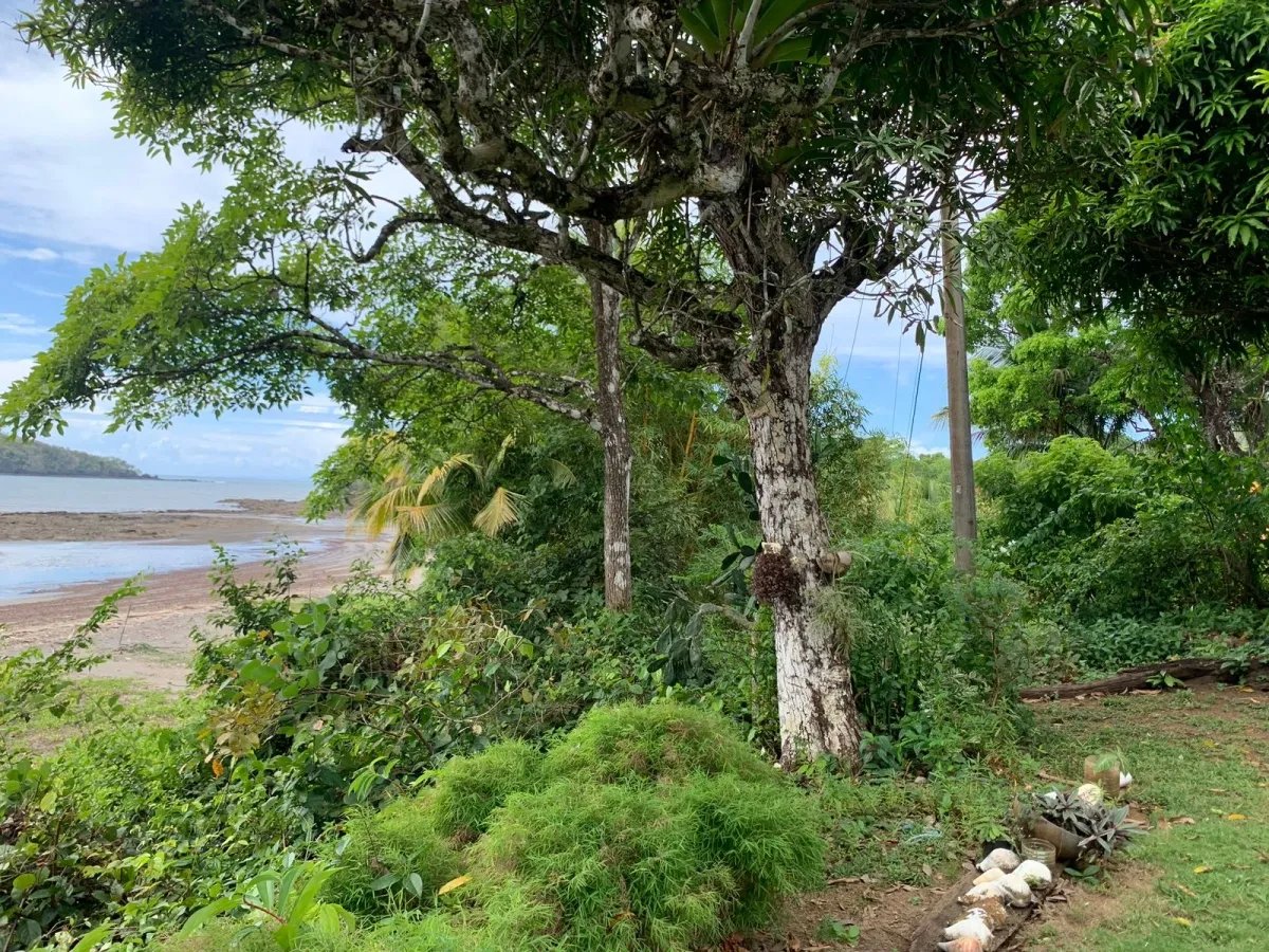 BEACHFRONT PROPERTY FOR SALE, SANTA CATALINA.