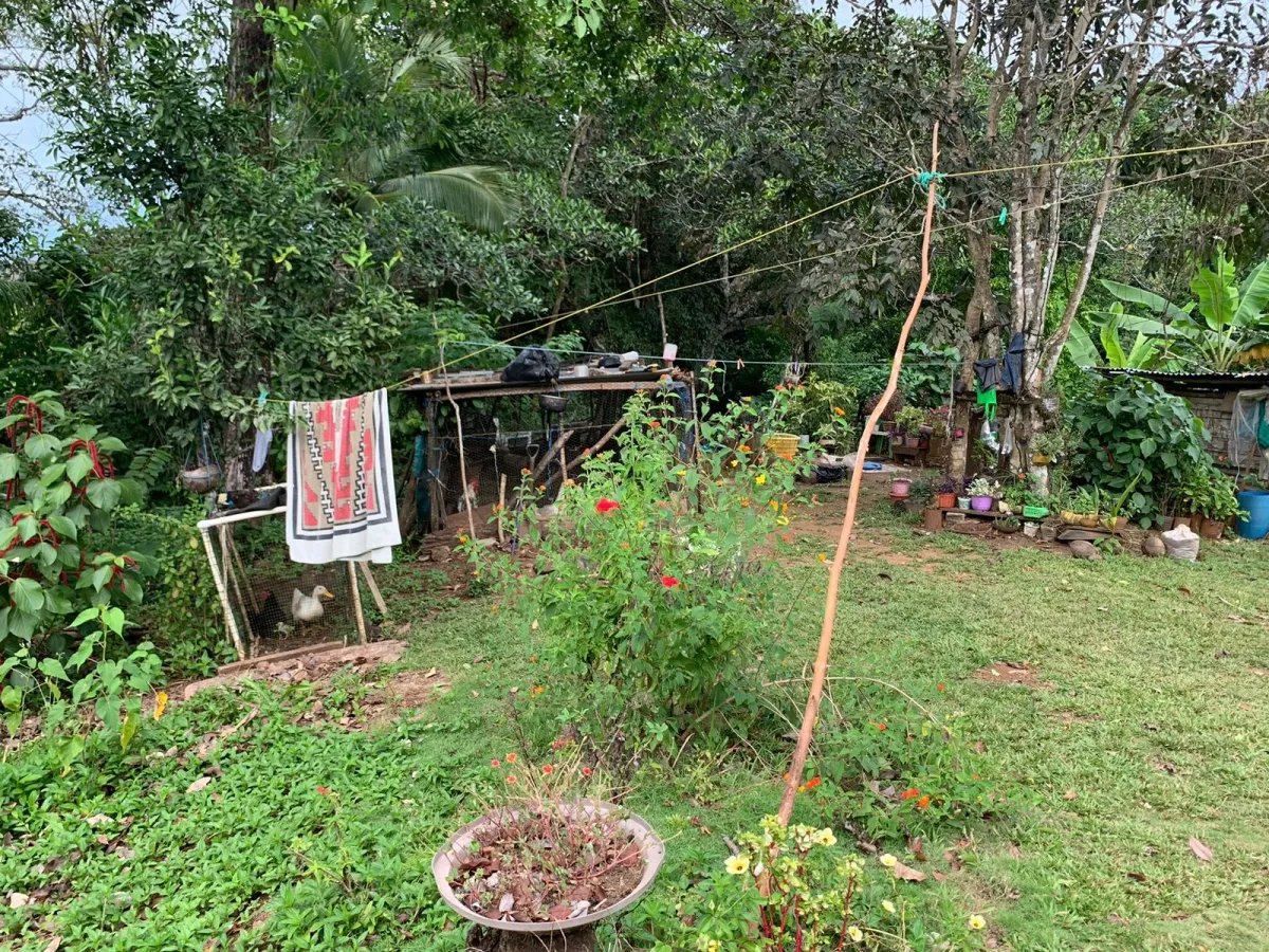 BEACHFRONT PROPERTY FOR SALE, SANTA CATALINA.