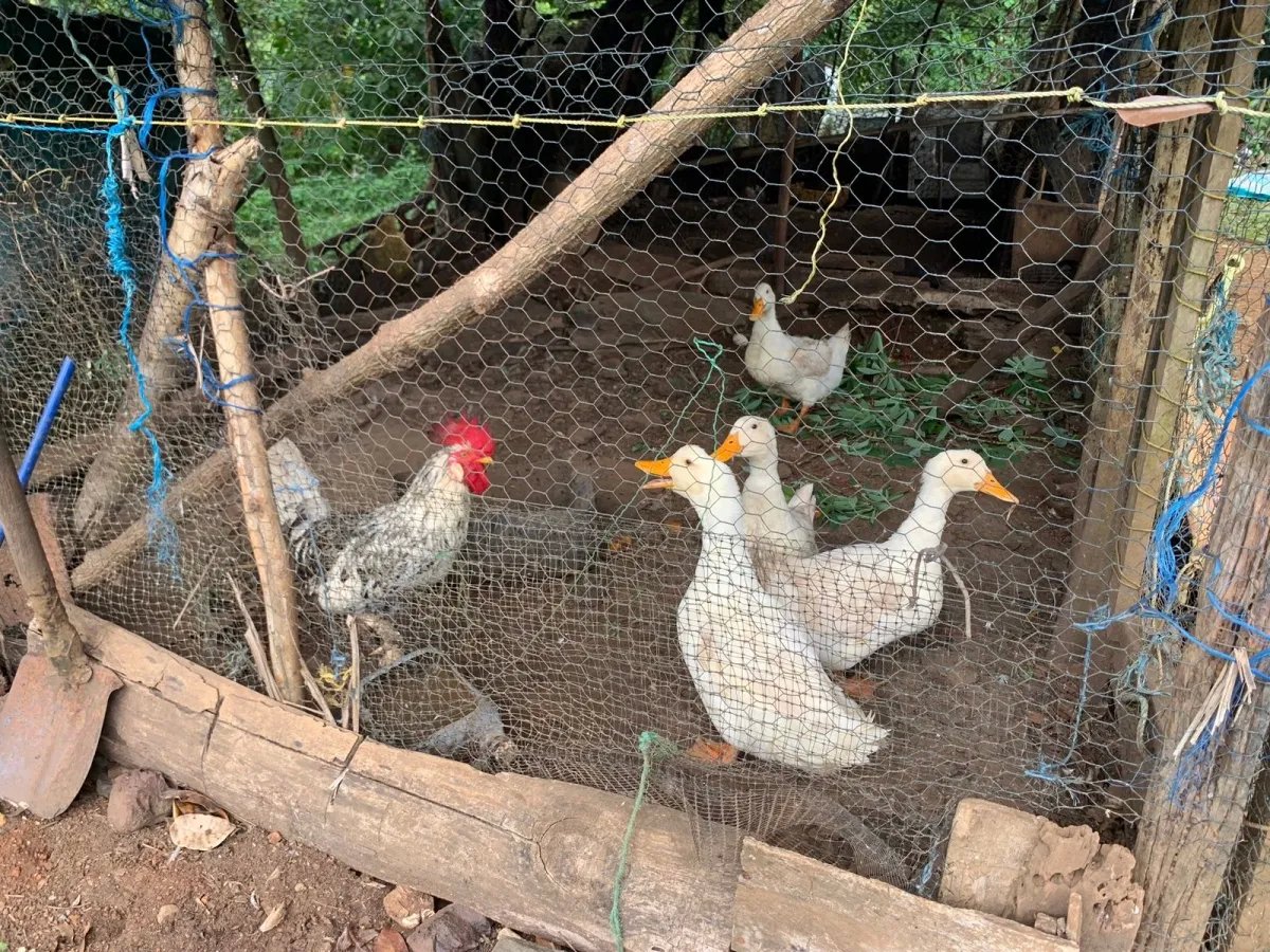 Terreno à Venda em Santa Catalina