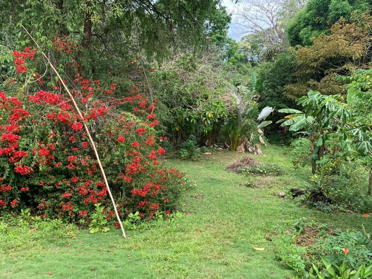 Terreno à Venda em Santa Catalina
