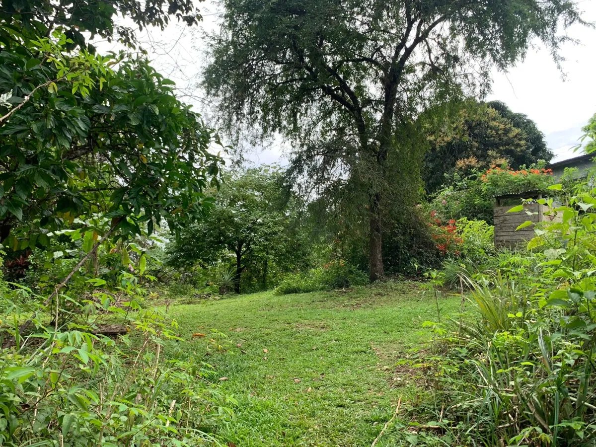 Terreno à Venda em Santa Catalina