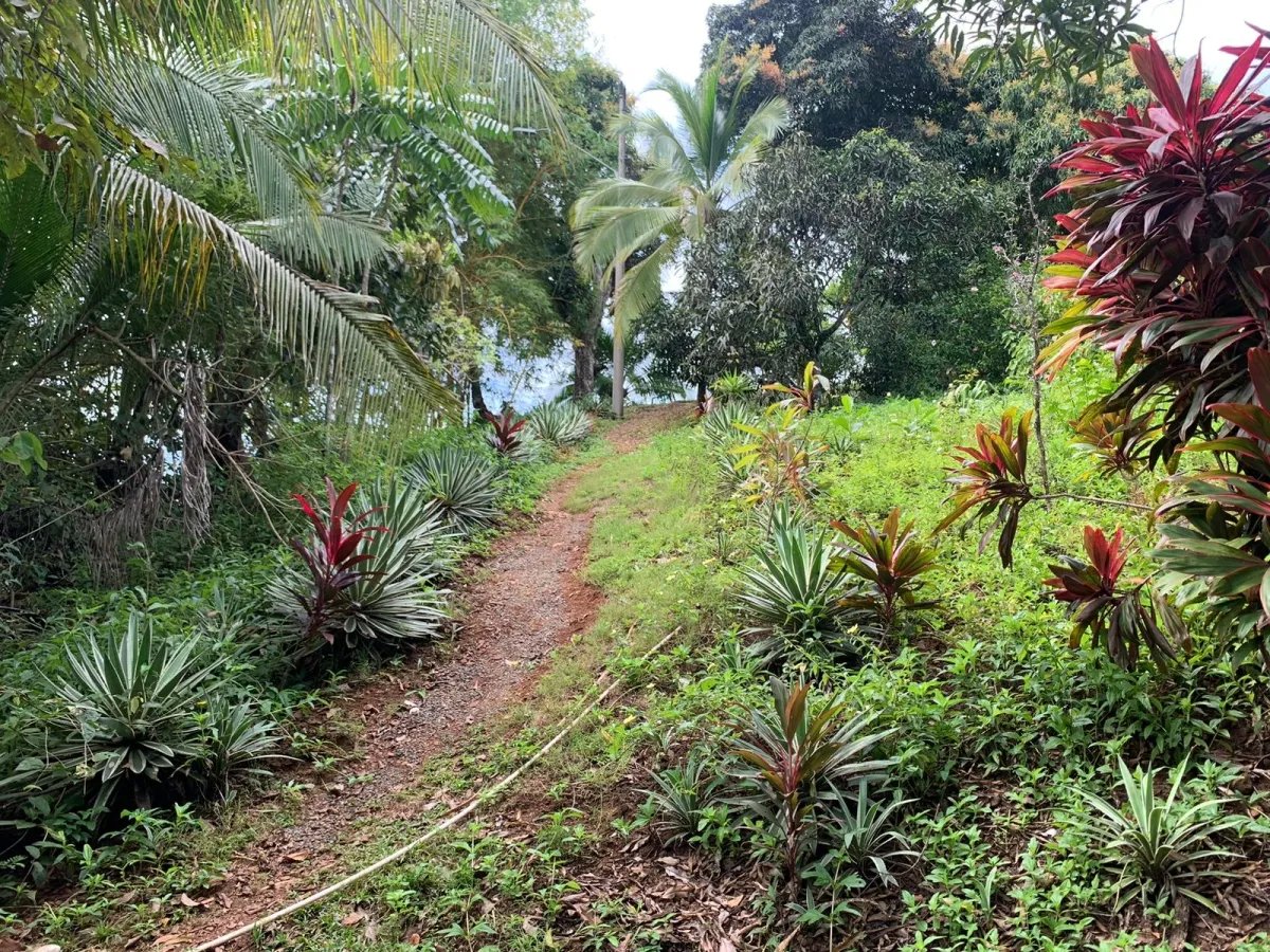 Terreno à Venda em Santa Catalina