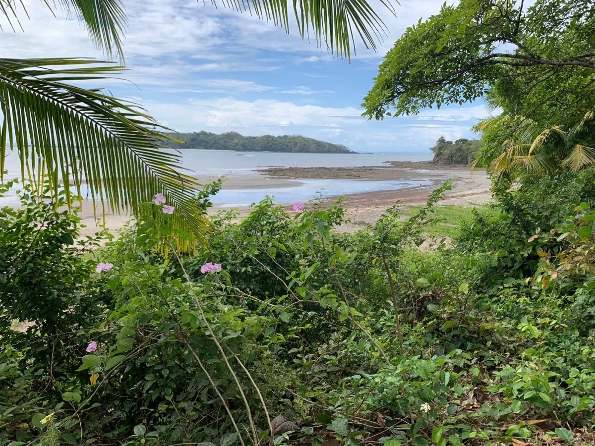 Terreno à Venda em Santa Catalina