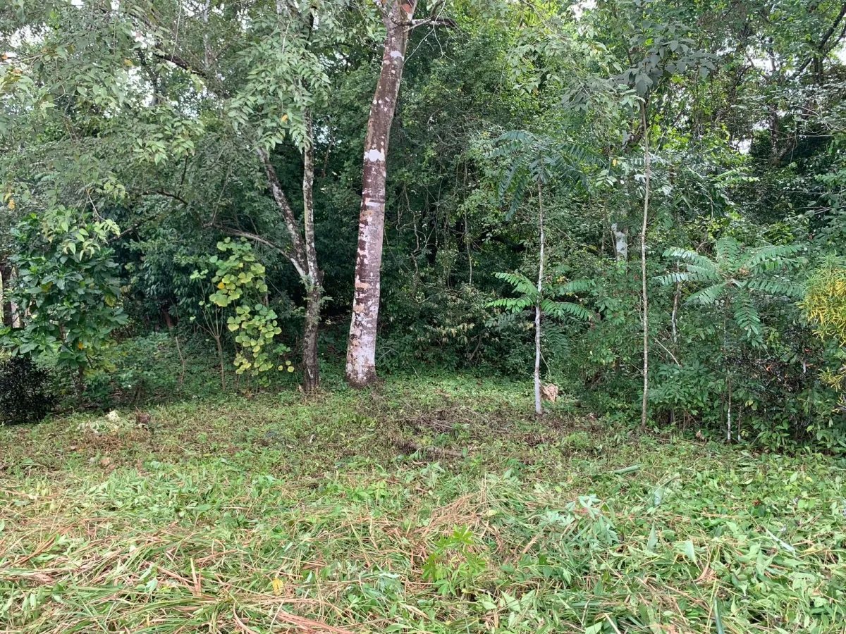 Terreno à Venda em Santa Catalina