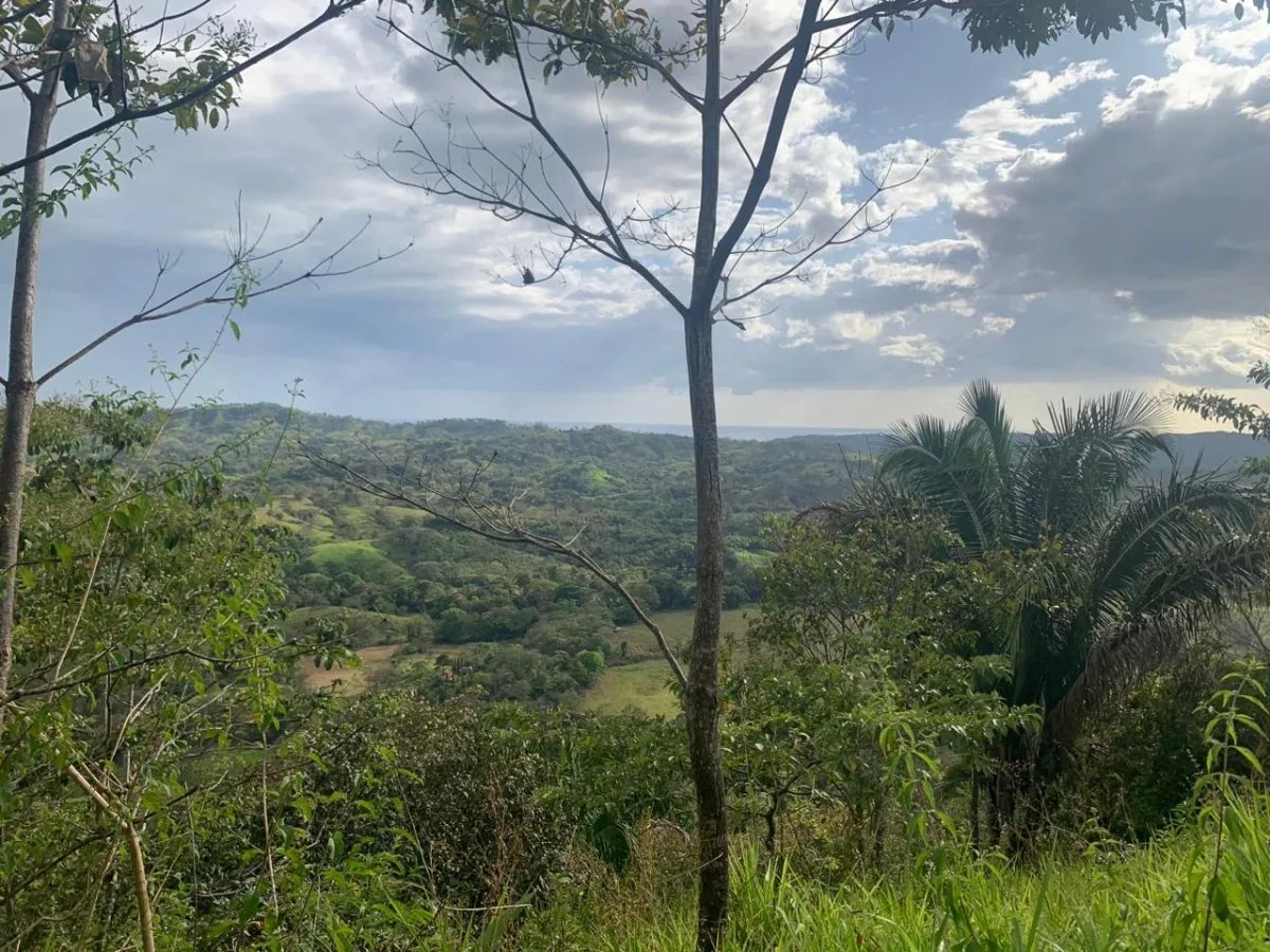 INCREDIBLE OPPORTUNITY TO BUY A LOT OF LAND FOR AN EXCELLENT PRICE. 19...