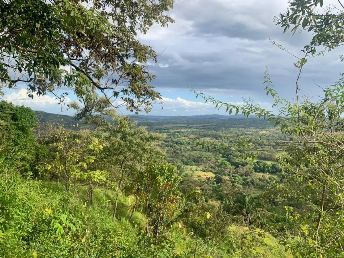INCREDIBLE OPPORTUNITY TO BUY A LOT OF LAND FOR AN EXCELLENT PRICE. 19...