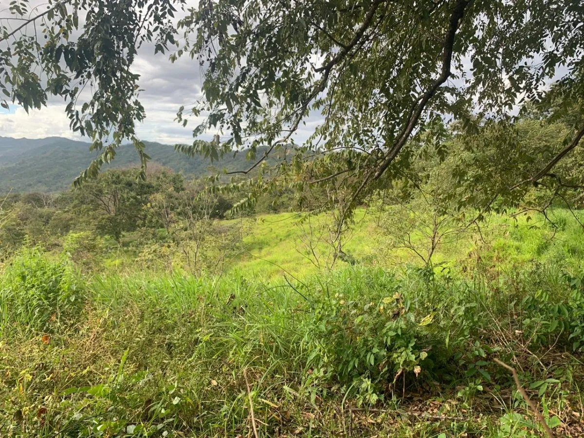 INCREDIBLE OPPORTUNITY TO BUY A LOT OF LAND FOR AN EXCELLENT PRICE. 19 HECTARES (46.95 ACRES) SAN LORENZO, VERAGUAS