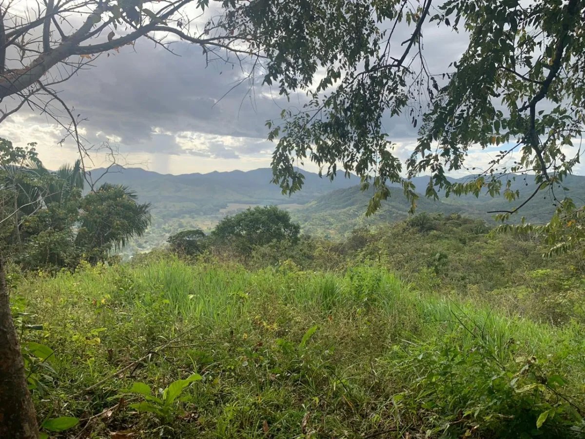 INCREDIBLE OPPORTUNITY TO BUY A LOT OF LAND FOR AN EXCELLENT PRICE. 19 HECTARES (46.95 ACRES) SAN LORENZO, VERAGUAS