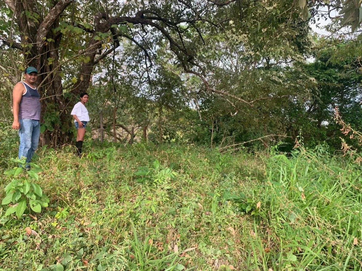 INCREDIBLE OPPORTUNITY TO BUY A LOT OF LAND FOR AN EXCELLENT PRICE. 19 HECTARES (46.95 ACRES) SAN LORENZO, VERAGUAS