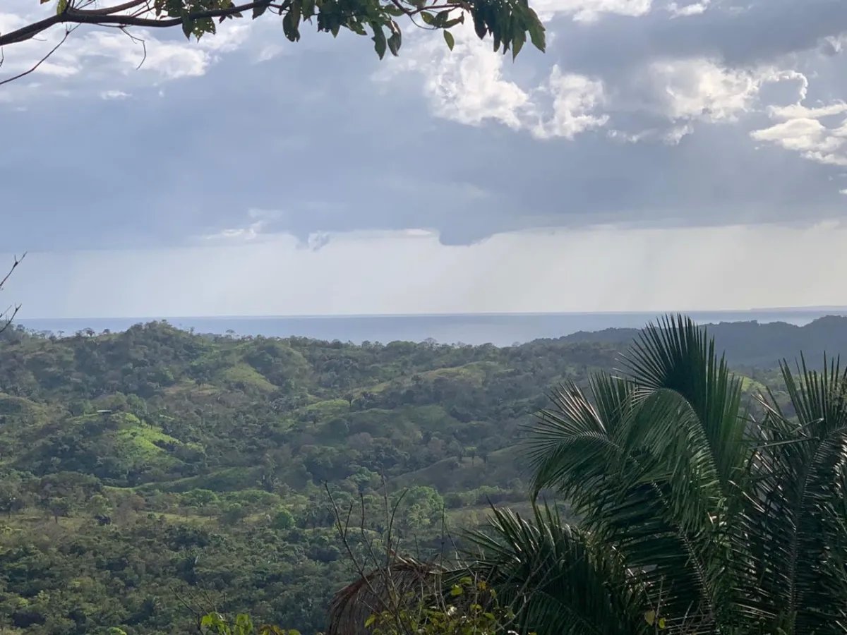 INCREDIBLE OPPORTUNITY TO BUY A LOT OF LAND FOR AN EXCELLENT PRICE. 19 HECTARES (46.95 ACRES) SAN LORENZO, VERAGUAS