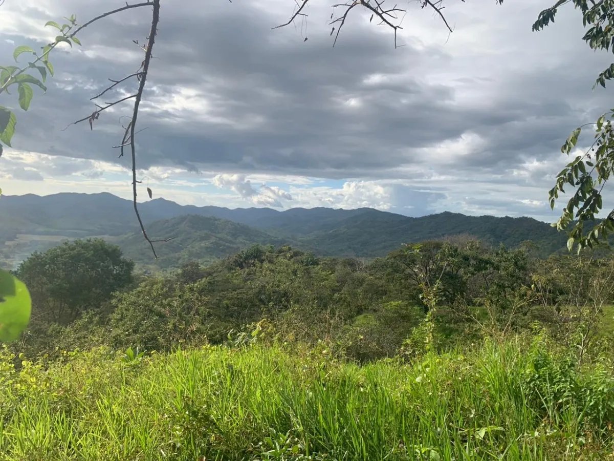 INCREDIBLE OPPORTUNITY TO BUY A LOT OF LAND FOR AN EXCELLENT PRICE. 19 HECTARES (46.95 ACRES) SAN LORENZO, VERAGUAS