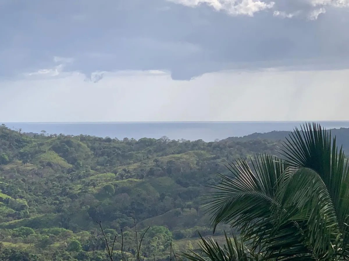 INCREDIBLE OPPORTUNITY TO BUY A LOT OF LAND FOR AN EXCELLENT PRICE. 19 HECTARES (46.95 ACRES) SAN LORENZO, VERAGUAS