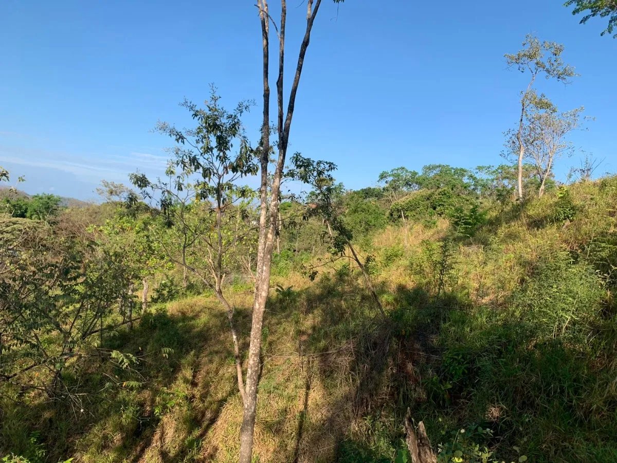 PROPERTY FOR SALE IN SANTA CATALINA WITH PANORAMIC OCEAN VIEWS