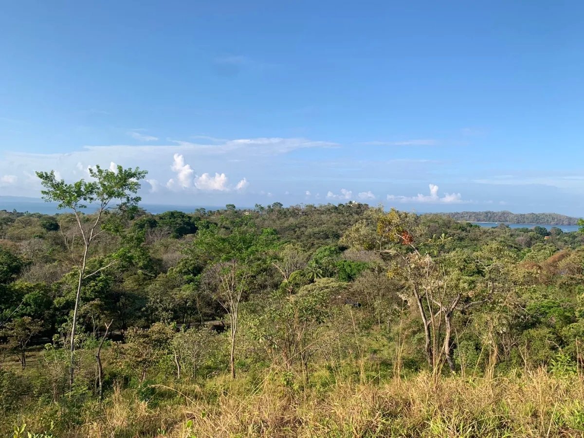 PROPERTY FOR SALE IN SANTA CATALINA WITH PANORAMIC OCEAN VIEWS
