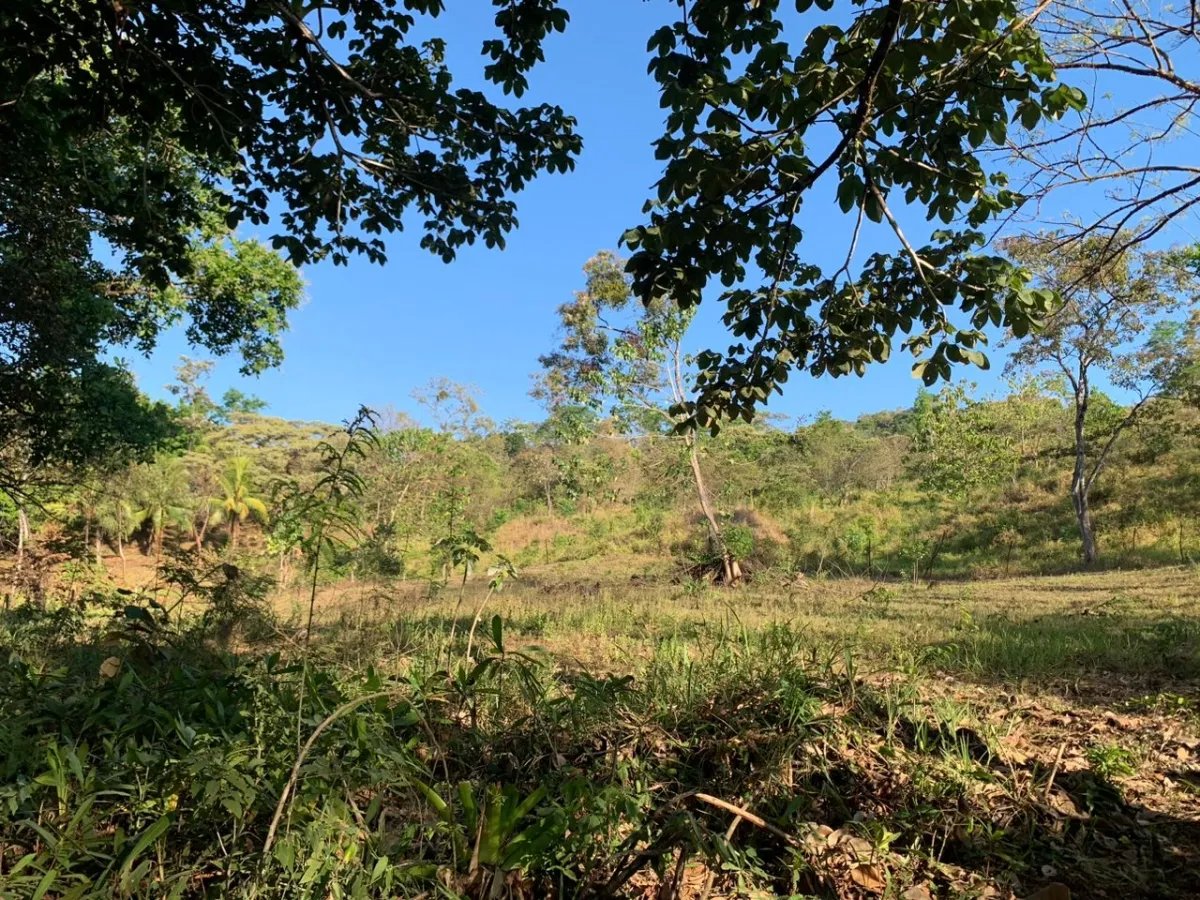 PROPERTY FOR SALE IN SANTA CATALINA WITH PANORAMIC OCEAN VIEWS
