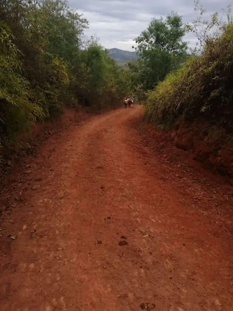 PROPERTY FOR SALE IN LAS PALMAS DE VERAGUAS, SECTOR LA PIFA.