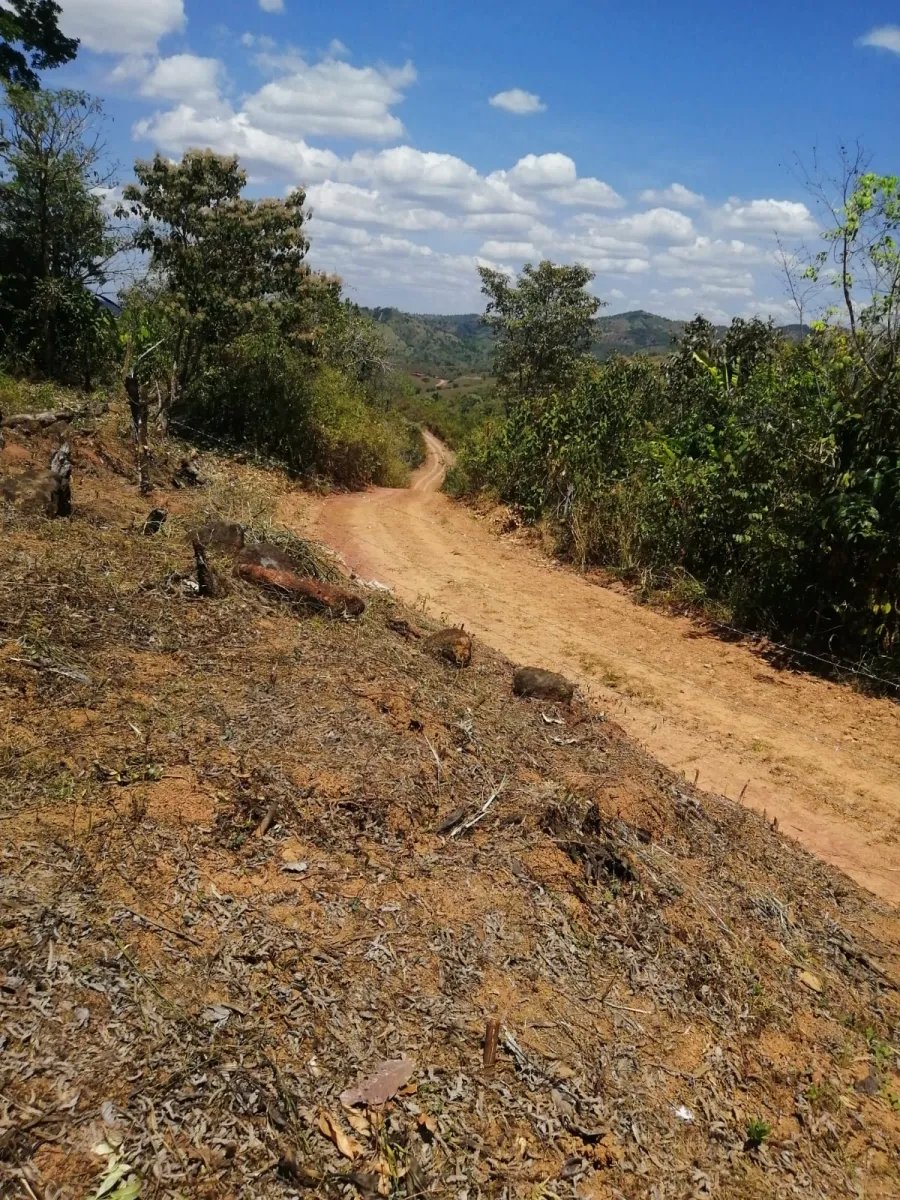 PROPERTY FOR SALE IN LAS PALMAS DE VERAGUAS, SECTOR LA PIFA.