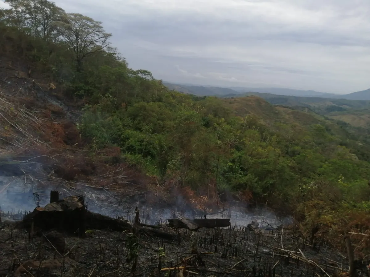 FINCA EN VENTA EN LAS PALMAS DE VERAGUAS, SECTOR LA PIFA.