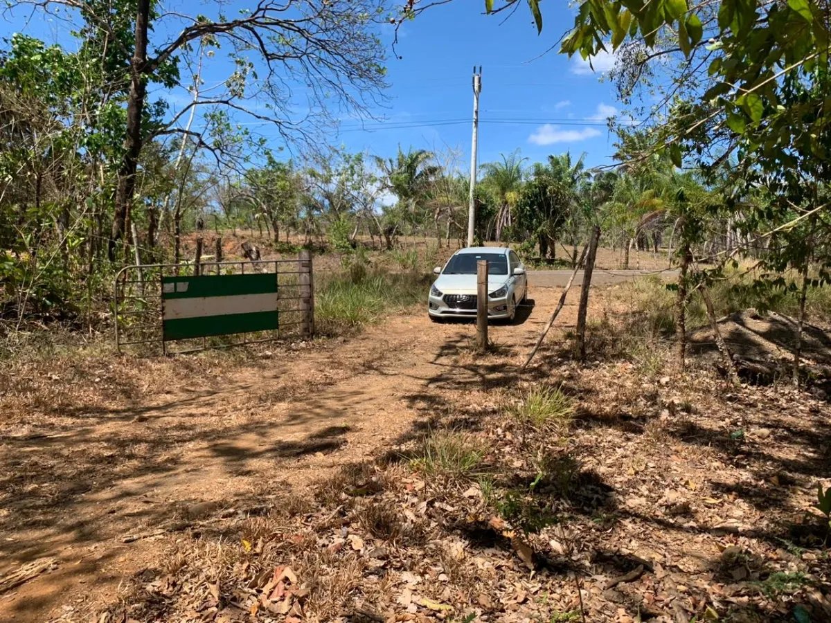 8 HECTARES PROPERTY FOR SALE (19.76 ACRES). EL TIGRE AMARRILLOS , VERA...