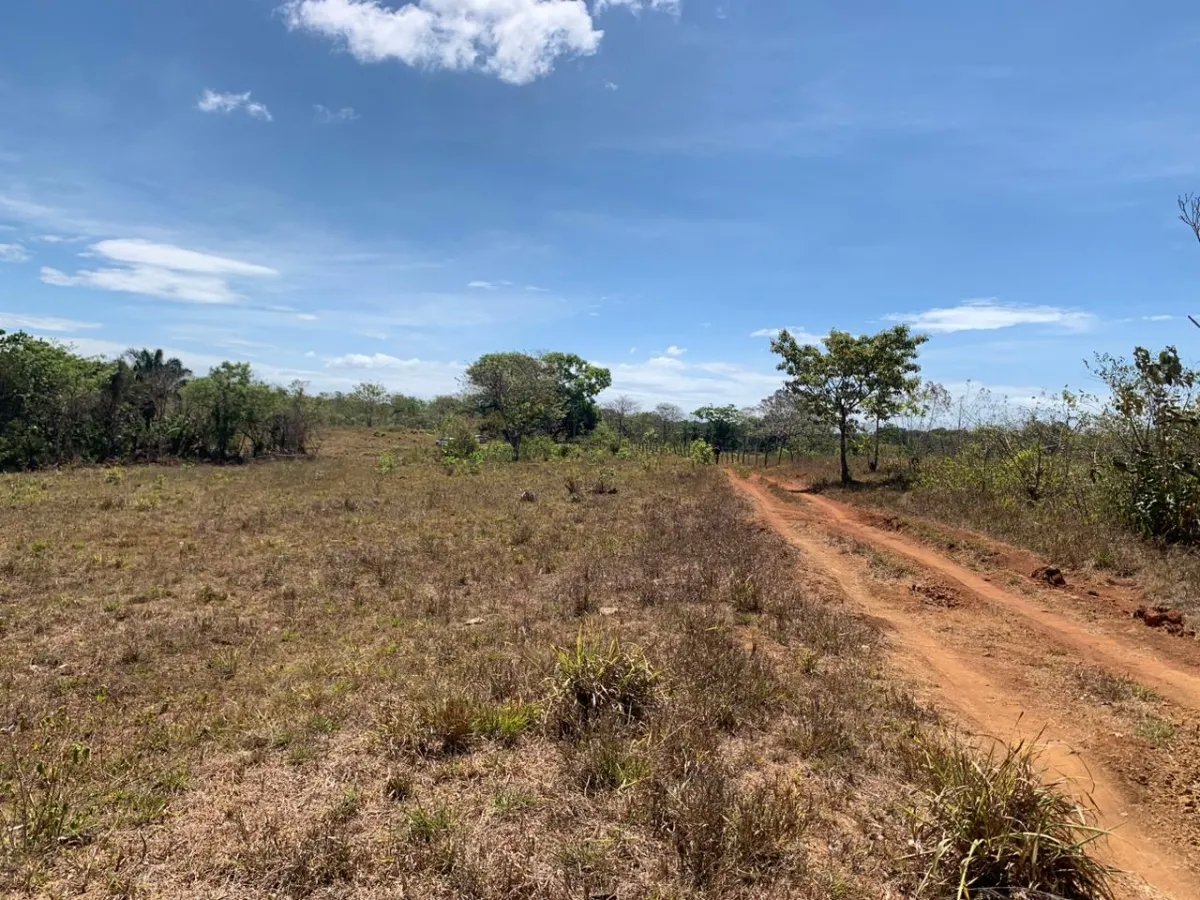 8 HECTARES PROPERTY FOR SALE (19.76 ACRES). EL TIGRE AMARRILLOS , VERA...