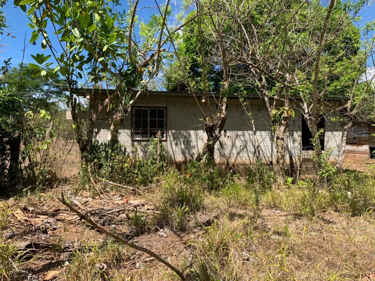 8 HECTARES PROPERTY FOR SALE (19.76 ACRES). EL TIGRE AMARRILLOS , VERAGUAS