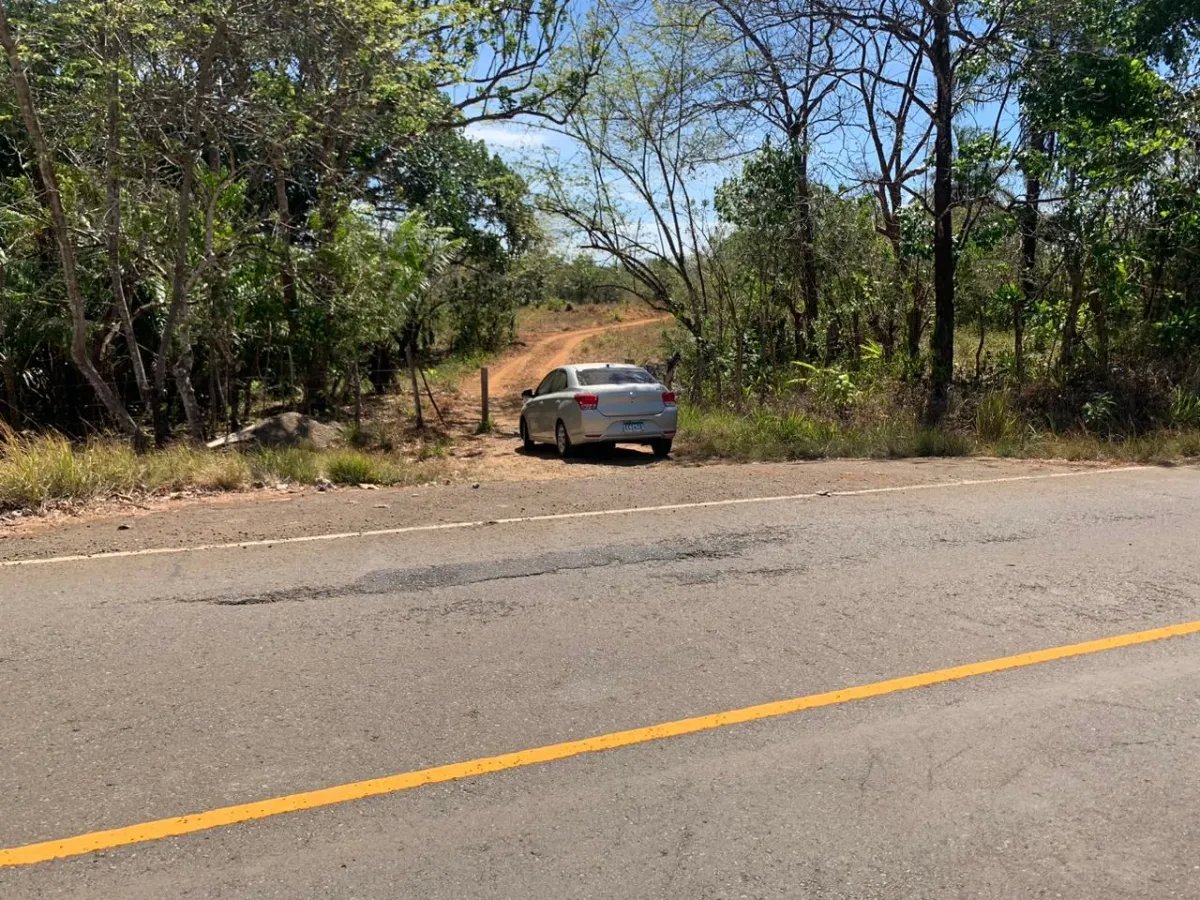 8 HECTARES PROPERTY FOR SALE (19.76 ACRES). EL TIGRE AMARRILLOS , VERAGUAS