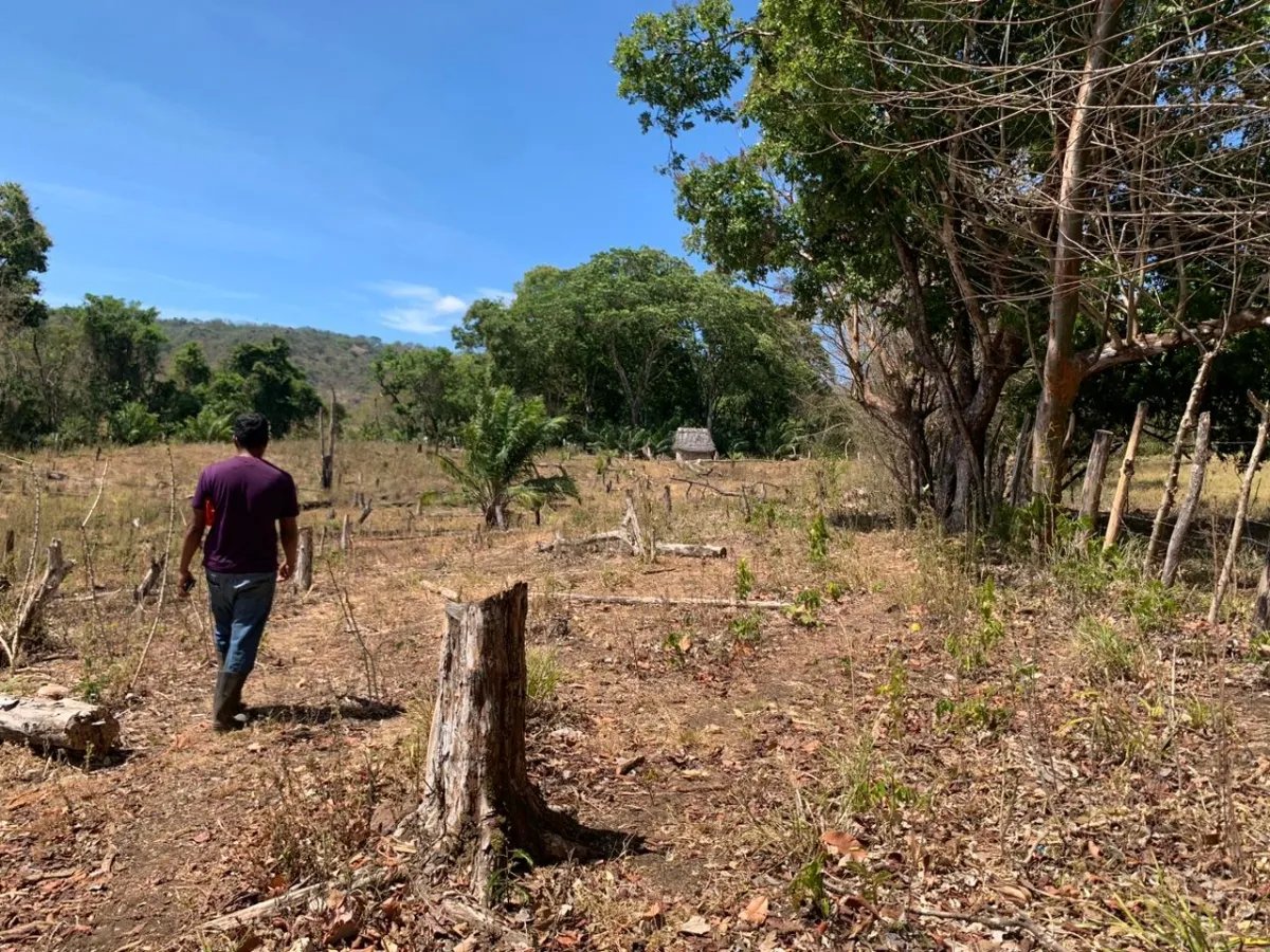 8 HECTARES PROPERTY FOR SALE (19.76 ACRES). EL TIGRE AMARRILLOS , VERAGUAS