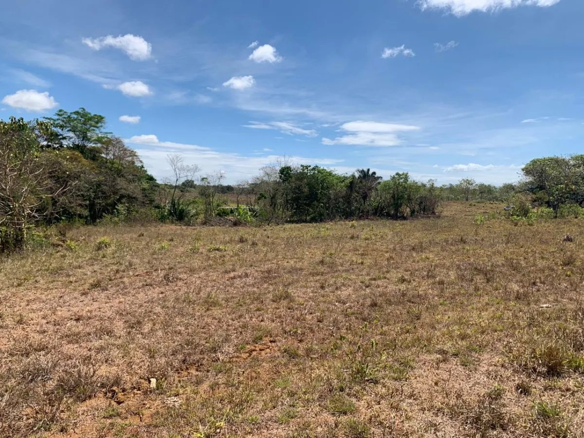 8 HECTARES PROPERTY FOR SALE (19.76 ACRES). EL TIGRE AMARRILLOS , VERAGUAS