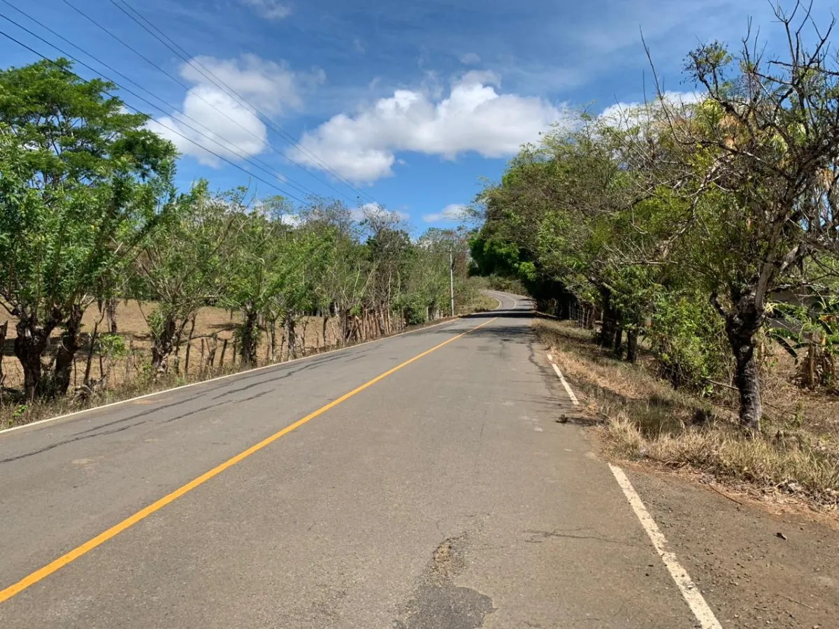 SE VENDE PROPIEDAD DE 8 HECTAREAS ( 19.76 ACRES). EL TIGRE AMARRILLOS ...