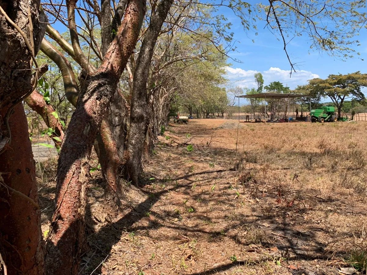 PROPERTY FOR SALE IN FRONT OF THE MAIN ROAD BETWEEN LAGARTERO AND HICACO, VERAGUAS.
