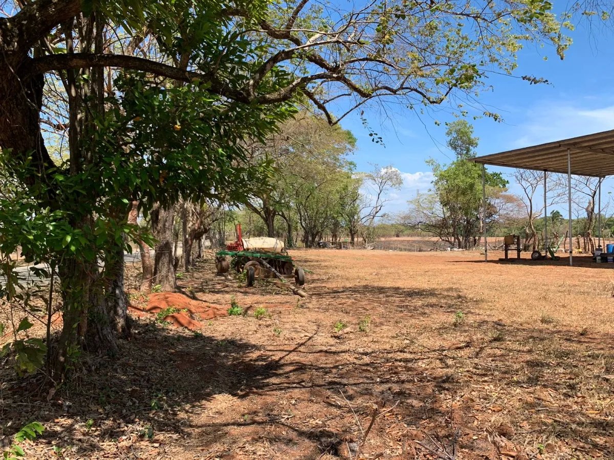 PROPERTY FOR SALE IN FRONT OF THE MAIN ROAD BETWEEN LAGARTERO AND HICACO, VERAGUAS.