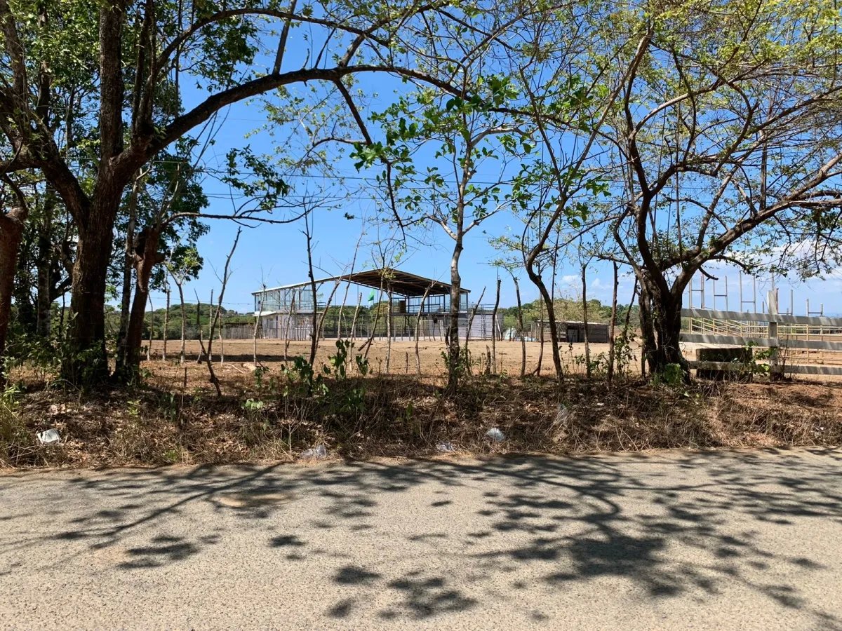 PROPERTY FOR SALE IN FRONT OF THE MAIN ROAD BETWEEN LAGARTERO AND HICACO, VERAGUAS.