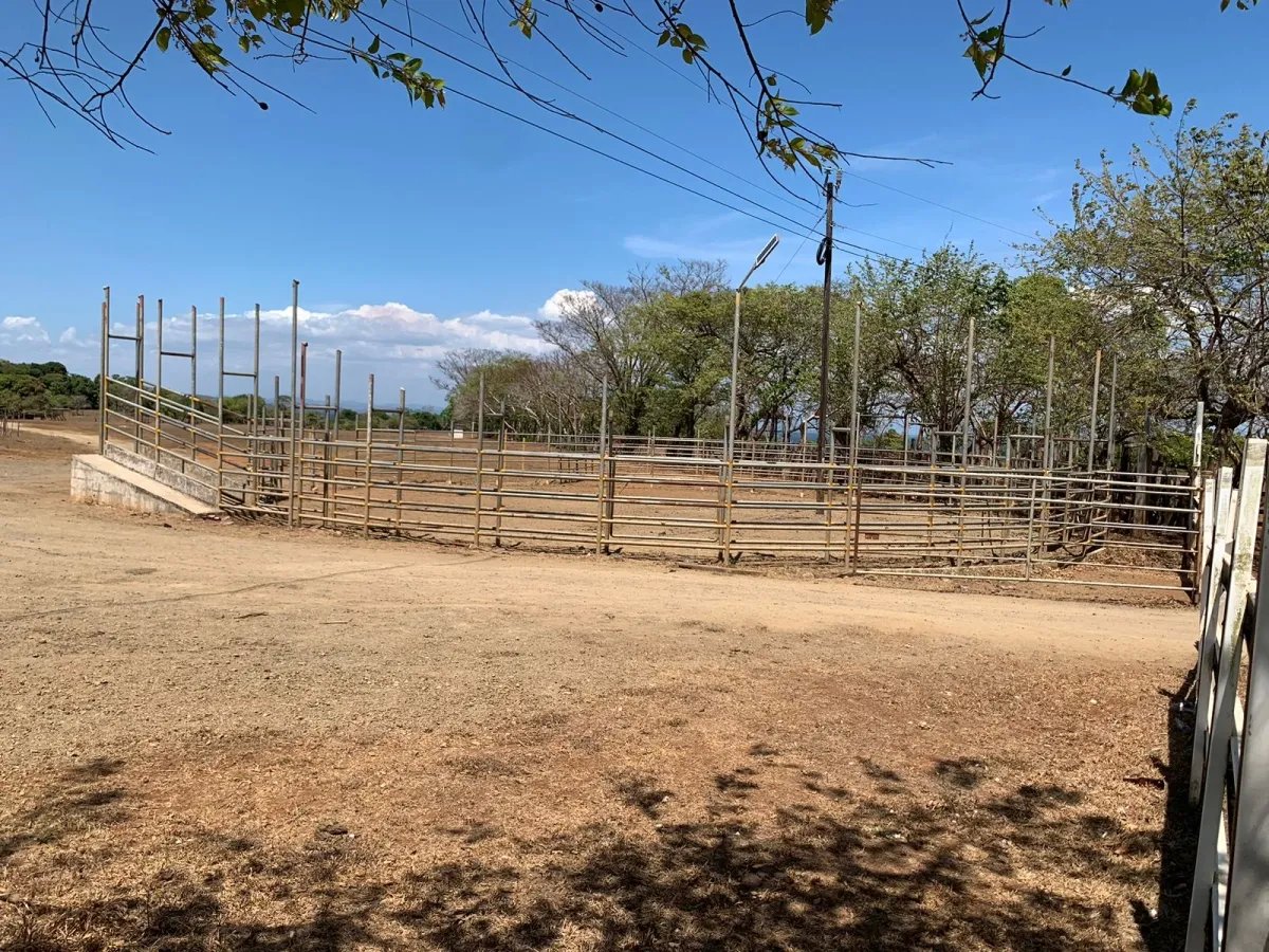 PROPERTY FOR SALE IN FRONT OF THE MAIN ROAD BETWEEN LAGARTERO AND HICACO, VERAGUAS.