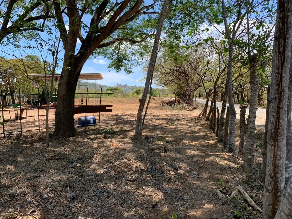 PROPERTY FOR SALE IN FRONT OF THE MAIN ROAD BETWEEN LAGARTERO AND HICACO, VERAGUAS.