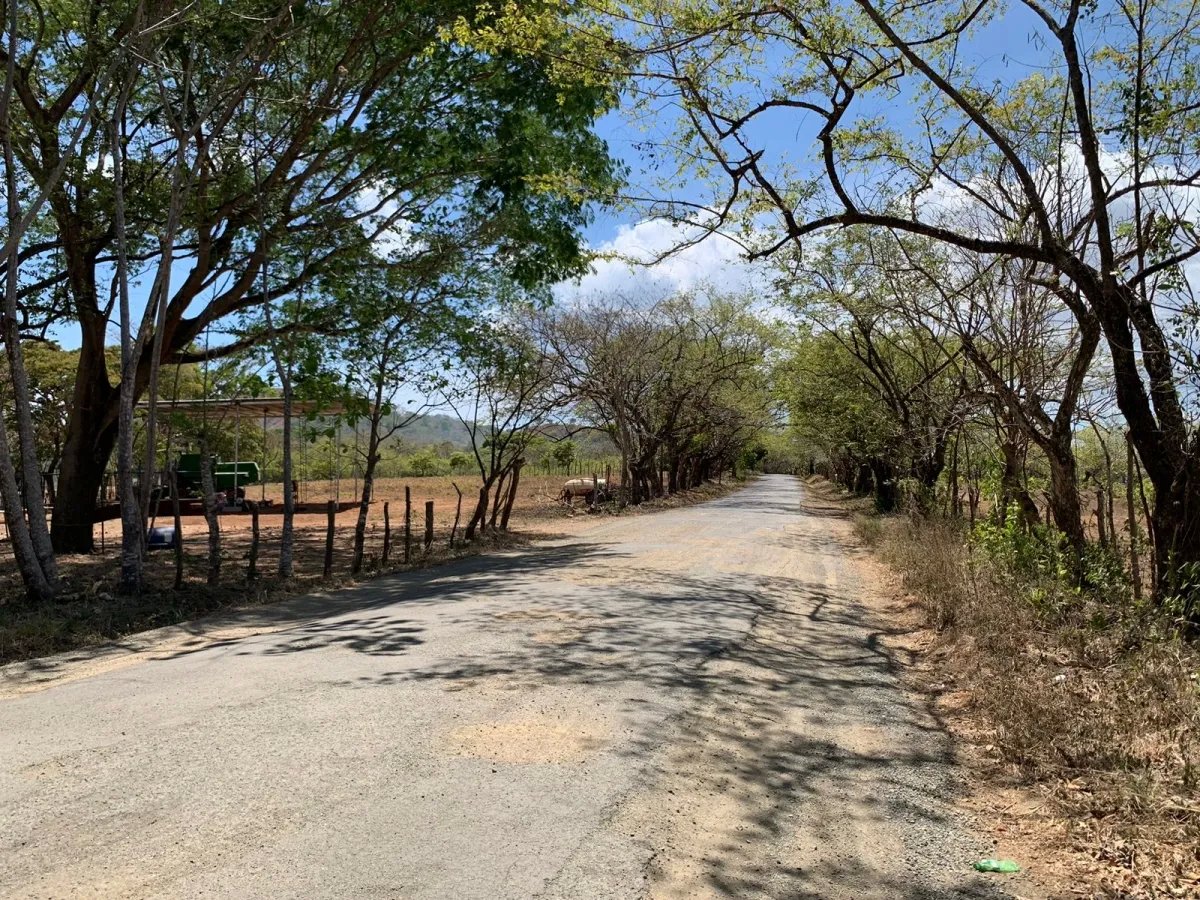 PROPERTY FOR SALE IN FRONT OF THE MAIN ROAD BETWEEN LAGARTERO AND HICACO, VERAGUAS.